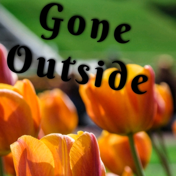 Status - Picture 9 of 15